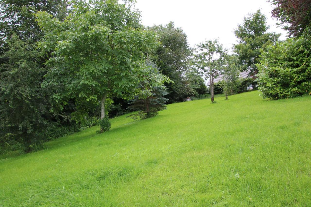 Ferienhaus Eifelnest Scheid  Dış mekan fotoğraf